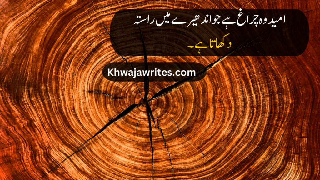 life quotes in urdu