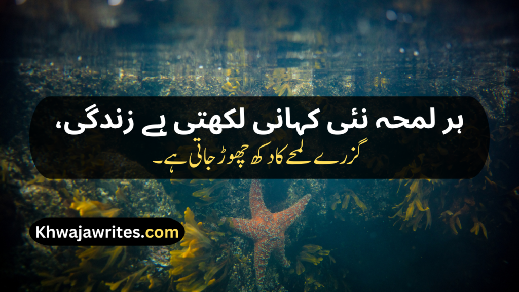 Poetry About Life In Urdu