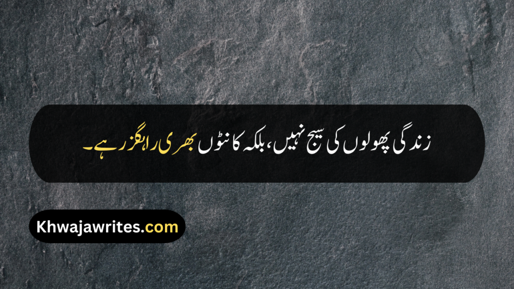 Best Quotes About Life In Urdu