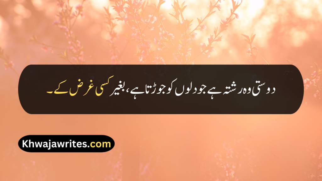 Friendship Quotes In Urdu