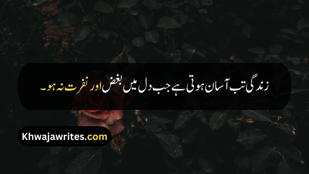 Best Quotes About Life In Urdu