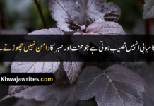 Best 30+ Beautiful Quotes In Urdu Beautiful Quotes In Urdu