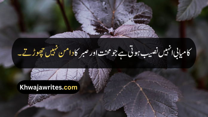 Beautiful Quotes In Urdu