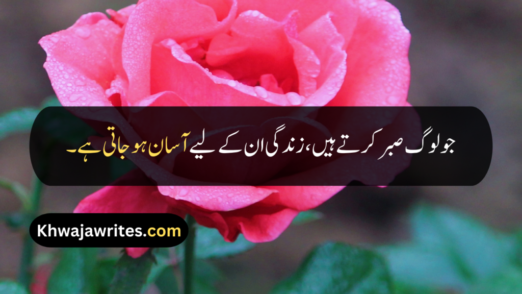Best Quotes About Life In Urdu
