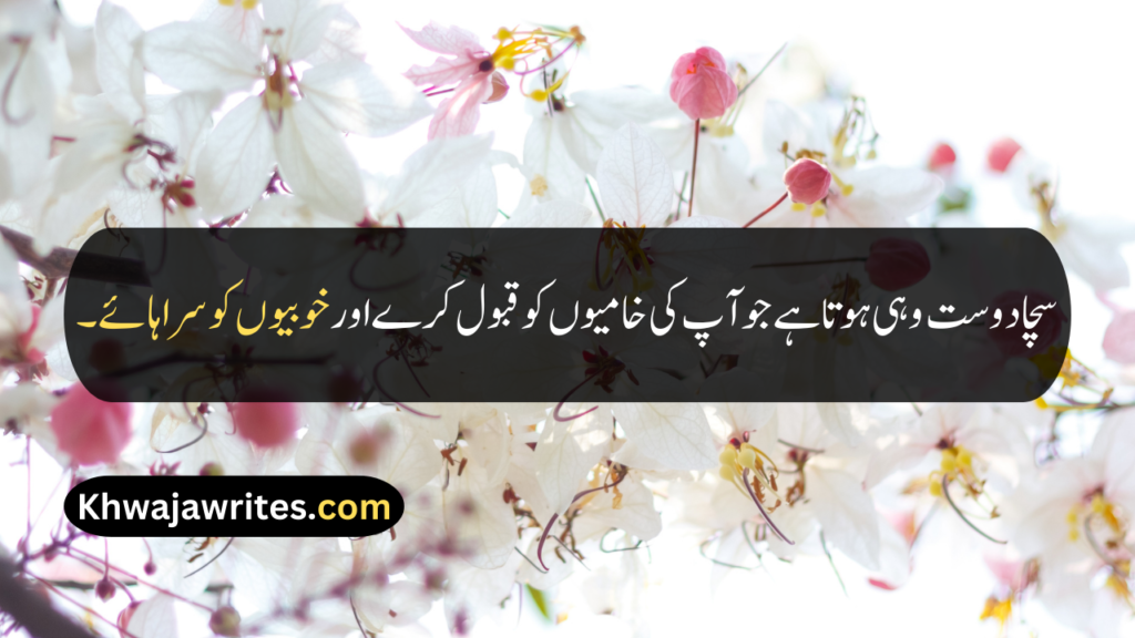 Friendship Quotes In Urdu
