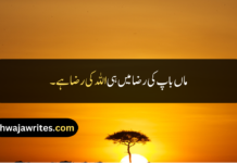Best 30+ Maa Baap Quotes In Urdu Maa Baap Quotes In Urdu