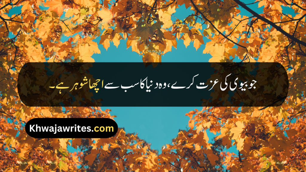 Husband Wife Quotes In Urdu