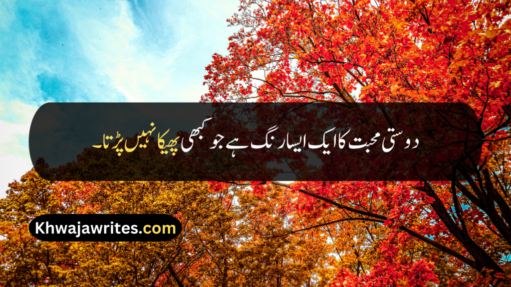 Friendship Quotes In Urdu