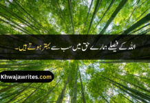 Best 30+ Allah Quotes In Urdu Allah Quotes In Urdu