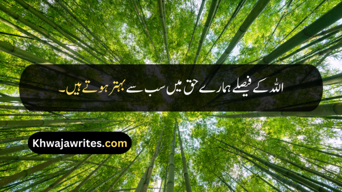 Allah Quotes In Urdu