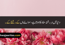Best 30+ Mother Quotes In Urdu Mother Quotes In Urdu