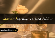 Best 30+ Friendship Quotes In Urdu Friendship Quotes In Urdu