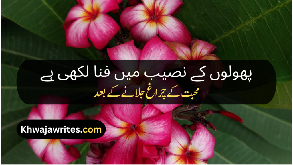 Flower Poetry In Urdu