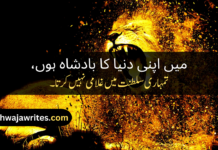 Best 50+Poetry In Urdu Attitude Poetry In Urdu Attitude