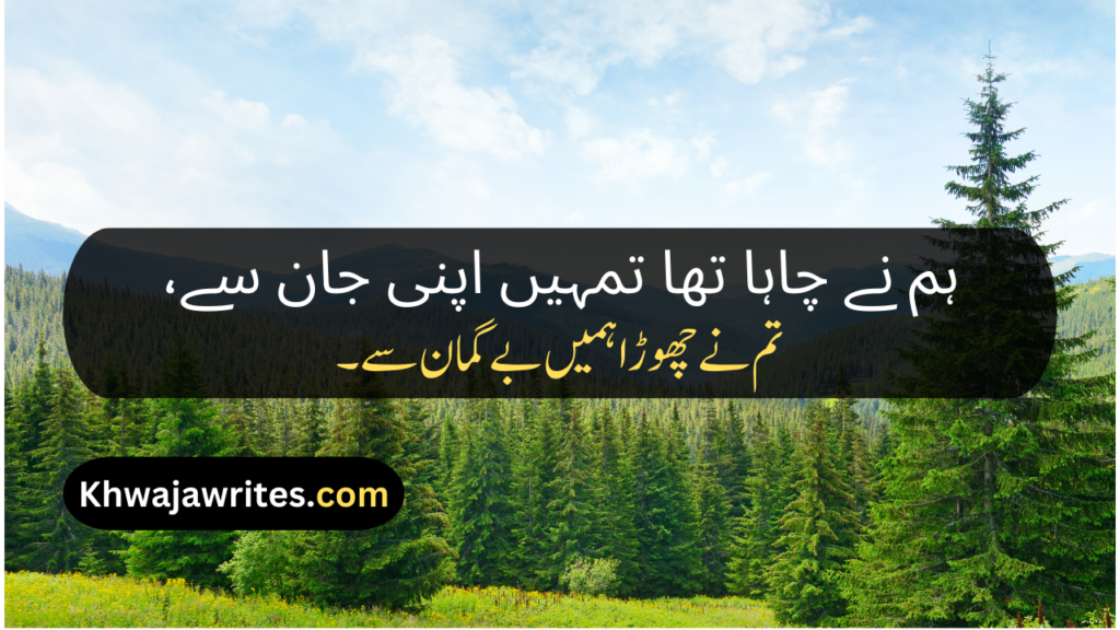 Urdu Poetry Message
