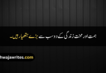 30+ Best Quotes About Life In Urdu Best Quotes About Life In Urdu