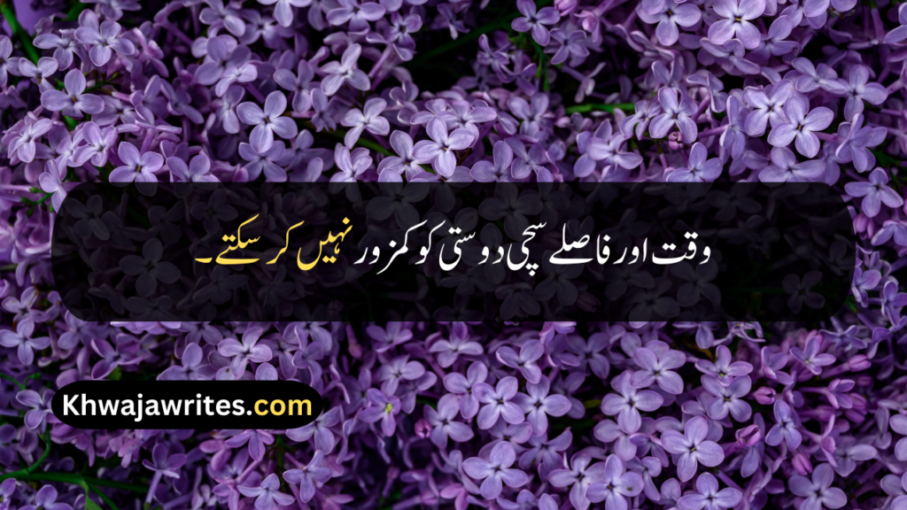 Friendship Quotes In Urdu