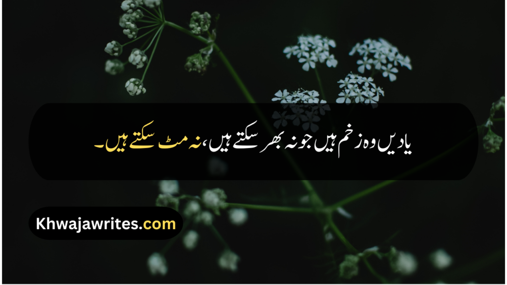 Emotional Quotes In Urdu