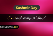 Best 30+ Kashmir Day Quotes In Urdu Kashmir Day Quotes