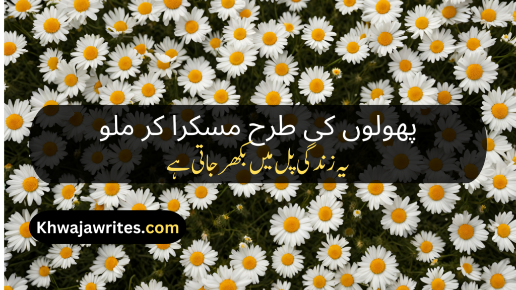 Flower Poetry In Urdu
