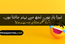 Best 50+Funny Poetry In Urdu For Friends Funny Poetry In Urdu For Friends