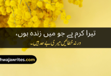 Best 50+Allah Poetry In Urdu Allah Poetry In Urdu