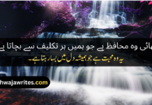 Best 50+Brother Poetry In Urdu Brother Poetry In Urdu