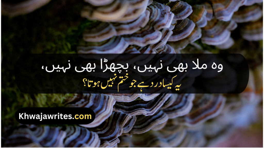 Urdu Poetry Message