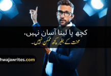 Best 50+Motivational Poetry In Urdu Motivational Poetry In Urdu