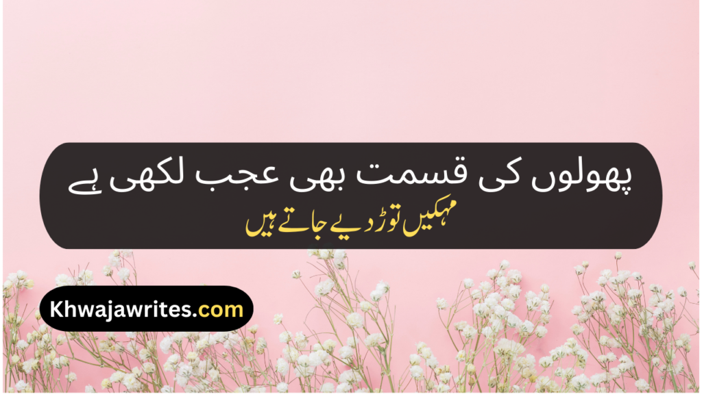 Flower Poetry In Urdu