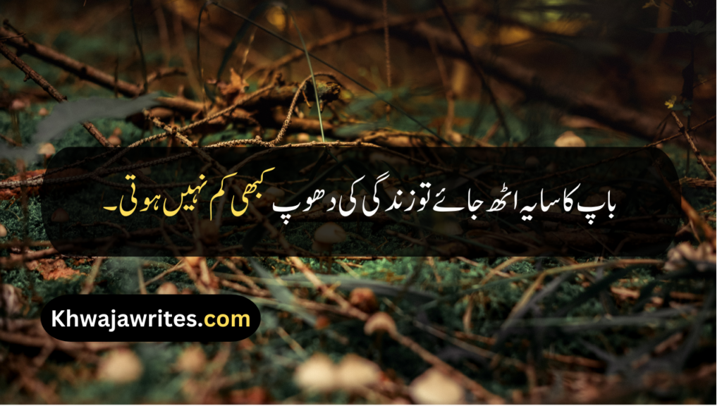 Father Death Quotes In Urdu