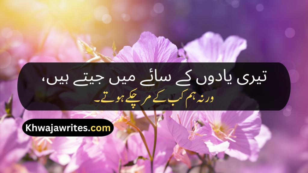 Best Poetry In Urdu Text