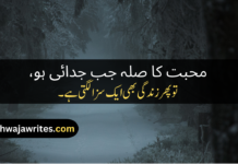 Best 50+Sad Love Poetry In Urdu Sad Love Poetry