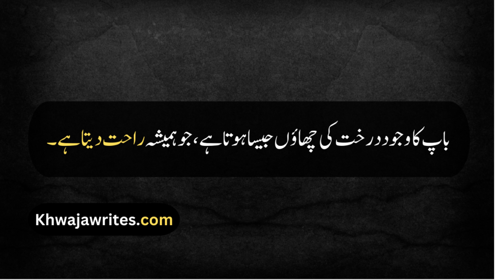 Father Death Quotes In Urdu