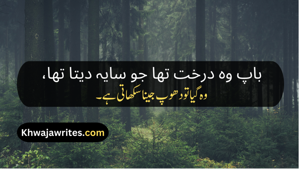 Father Death Poetry In Urdu