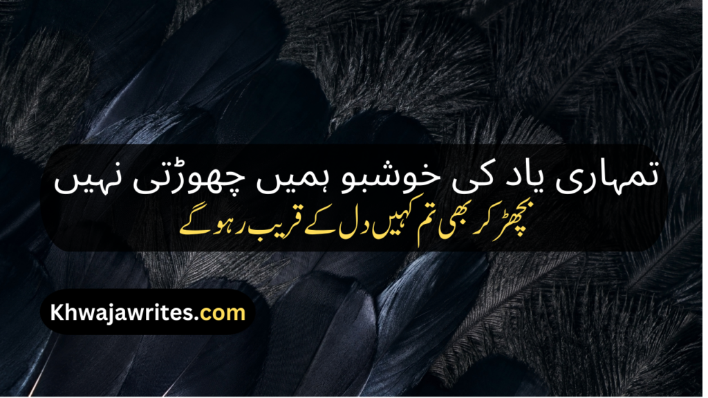 Farewell Poetry In Urdu