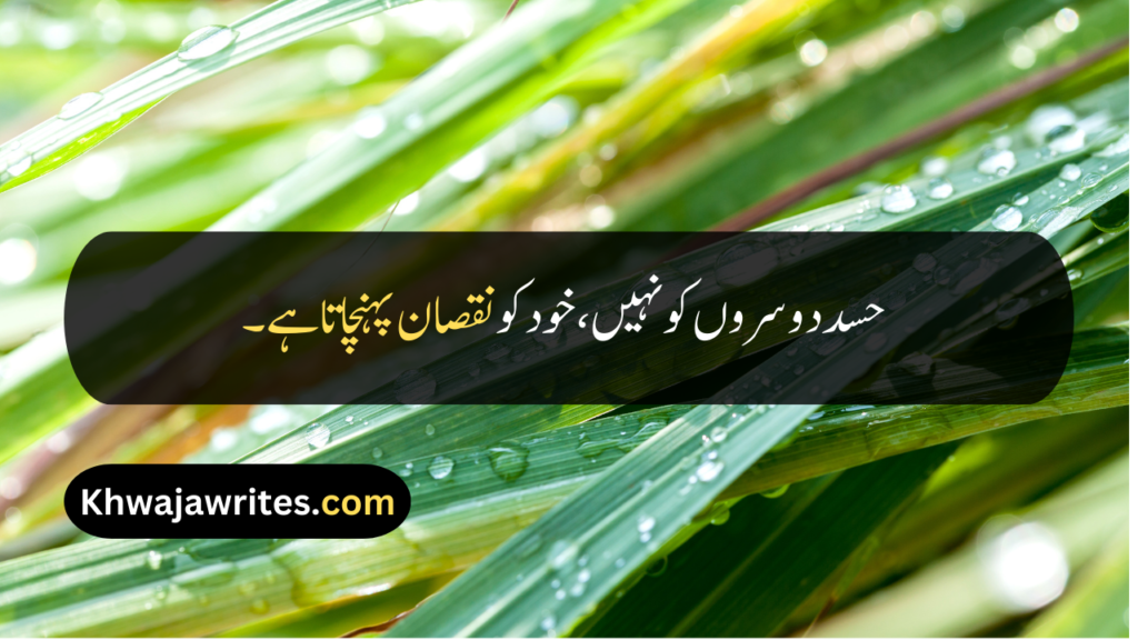 Good Quotes In Urdu