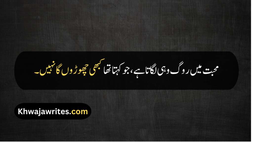 Heart Broken Quotes In Urdu