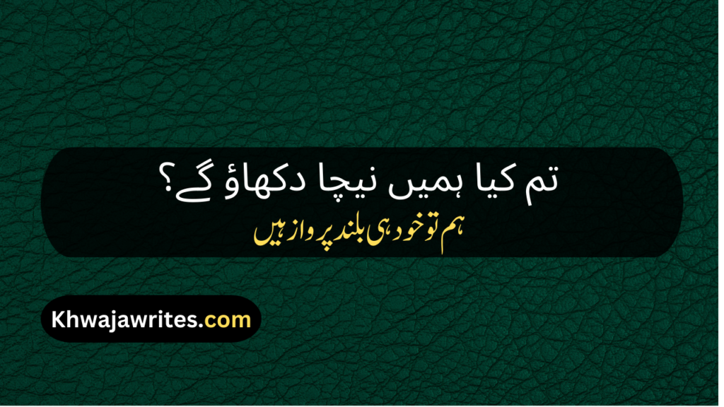 Attitude Poetry In Urdu 2 Line For Girl