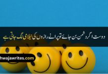 25+ Best Funny Friendship Quotes Ever Funny Friendship Quotes