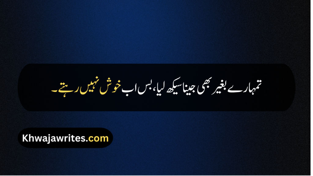 Heart Broken Quotes In Urdu