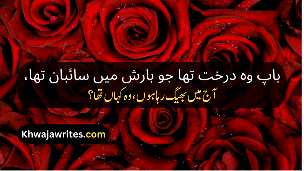 Father Death Poetry In Urdu