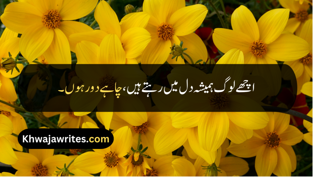 Good Quotes In Urdu