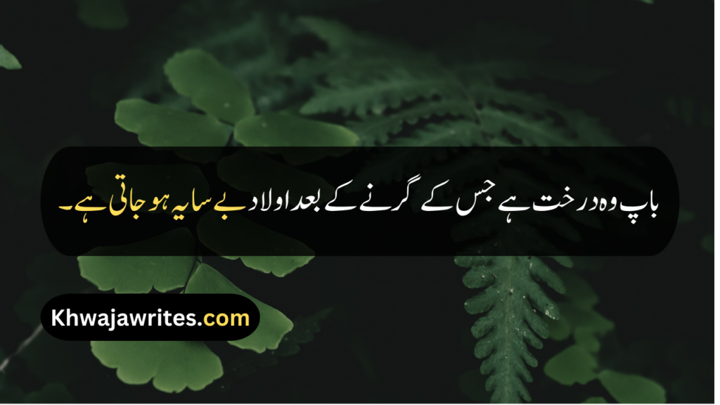 Father Death Quotes In Urdu