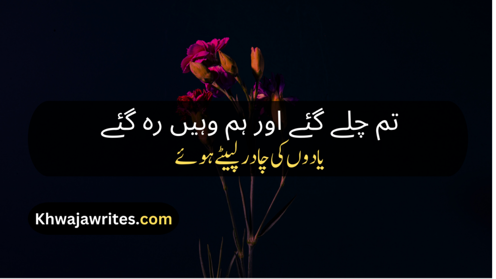 Farewell Poetry In Urdu