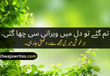 Best 50+Miss U Poetry In Urdu Miss U Poetry In Urdu
