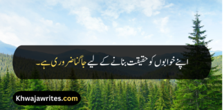 Best 30+ Deep Urdu Quotes Deep Urdu Quotes