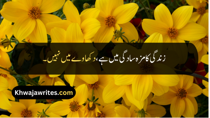 Good Quotes In Urdu