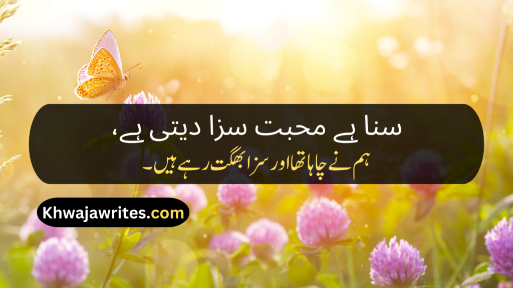 Best Poetry In Urdu Text