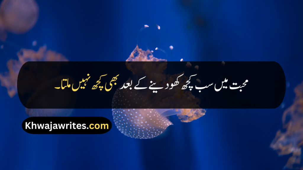 Sad Life Quotes In Urdu